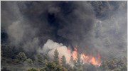 Πυρκαγιά στην περιοχή Τζάνες Μεσσηνίας