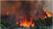 Πυρκαγιά στα ελληνοαλβανικά σύνορα