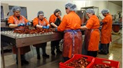 Νέα συρρίκνωση της μεταποίησης τον Ιούλιο
