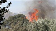 Εξαπλώνονται τα πύρινα μέτωπα στην Κρήτη