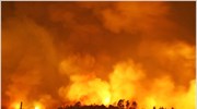 Υπό έλεγχο η πυρκαγιά στην Κασσάνδρα Χαλκιδικής