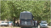Μία σύλληψη για τη φυτεία με τα 4.000 δενδρύλλια κάνναβης