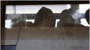 Επαναπροώθηση άλλων 86 παράνομων μεταναστών