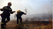 Σε ύφεση παραμένει η πυρκαγιά στο Βαρνάβα