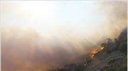 Διαστάσεις έχει πάρει η πυρκαγιά στην Ιστιαία