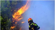 Πολύ υψηλός κίνδυνος πυρκαγιάς σε Αττική και Εύβοια την Πέμπτη
