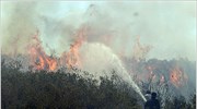 Σε εξέλιξη οι πυρκαγιές σε Ναύπλιο και Βοιωτία