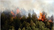 ΓΓΠΠ: Υψηλός κίνδυνος εκδήλωσης πυρκαγιάς το Σάββατο