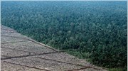 WWF: 30% μείωση της βιοποικιλότητας σε 40 χρόνια