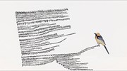 Κείμενα και γράμματα δημιουργούν εικόνες