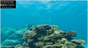 Εξερευνήστε το Μεγάλο Κοραλλιογενή Ύφαλο από την πολυθρόνα