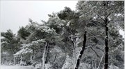 Χιόνια στα βόρεια και καταιγίδες