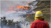 «Στάχτη» περισσότερα από 10.000 στρέμματα στην Παταγονία