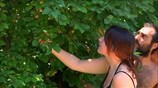 Μία αυτάρκη κοινότητα δημιούργησαν Αθηναίοι στην Εύβοια