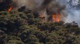 Reuters: Κατοικημένες περιοχές απείλησε φωτιά στην Αττική