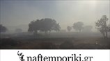 Πυρκαγιά στην περιοχή Μελίσσια Ασπροπύργου
