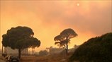 To Reuters για τις πυρκαγιές στην Αττική
