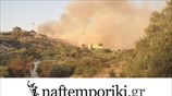 Στην Π. Φώκαια το κύριο μέτωπο της φωτιάς