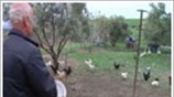 Οι Έλληνες επιστρέφουν στην επαρχία