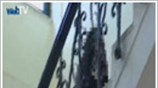 Στο Ευρωπαϊκό Δικαστήριο η Βίκυ Σταμάτη