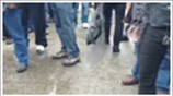Πήραν λάφυρο ασπίδα των ΜΑΤ