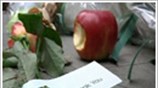Οι τεχνολογικές τάσεις το 2012