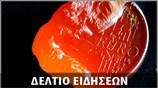 Μεσημεριανό Δελτίο Ειδήσεων