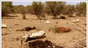Μεξικό: Η χειρότερη ξηρασία των 70 χρόνων