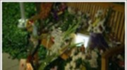 Λουλούδια στη μνήμη του Στιβ Τζομπς