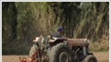 Παραχώρηση γης σε νέους αγρότες και κτηνοτρόφους