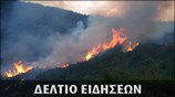 Μεσημεριανό Δελτίο Ειδήσεων