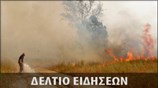 Μεσημεριανό Δελτίο Ειδήσεων