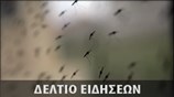 Απογευματινό Δελτίο Ειδήσεων