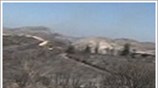 Στάχτη 213.000 στρέμματα δάσους