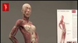 Εκθεση «Bodies»