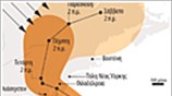 Τα χαρακτηριστικά του τυφώνα «Σάντι»