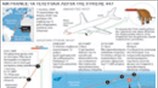 Air France: Τα τελευταία λεπτά της πτήσης 447
