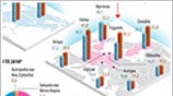 Αιτούντες άσυλο ανά τον κόσμο