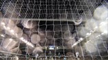 Το «θαύμα» που αναζητούσε στο Λονδίνο ο Παναθηναϊκός, στην 6η και τελευταία ...