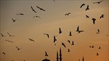O Tούρκος πρωθυπουργός Ταγίπ Ερντογάν επανέρχεται στο θέμα της κατασκευής τεμένους στην ...