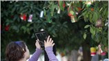 Μαθήτρια βιντεοσκοπεί συμμαθητές της που στολίζουν τις νεραντζιές στην πλατεία Συντάγματος με ...