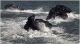 Aνδρες των Ειδικών Δυνάμεων στο Κέντρο Εκπαιίδευσης στο Μεγάλο Πεύκο σε άσκηση ...