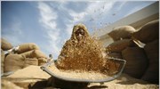 Η αύξηση των τιμών των ειδών διατροφής που διαπιστώνεται από τον Αύγουστο ...