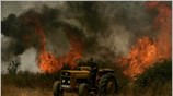 Υπό έλεγχο τέθηκαν ή έσβησαν σήμερα το πρωί όλες οι δασικές πυρκαγιές ...