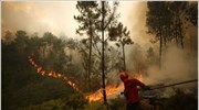 Πολύ ισχυροί άνεμοι βοηθούν στην εξάπλωση των φωτιών στην Πορτογαλία, που απειλούν ...