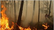 Περίπου 250 στρατιωτικοί κινητοποιήθηκαν τη Δευτέρα βοηθώντας τους 500 πυροσβέστες, που αναλώνονται ...