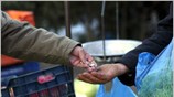 Aύξηση 5,5% προκύπτει από τη σύγκριση του Γενικού Δείκτη Τιμών Καταναλωτή (Γ.Δ.Τ.Κ) ...