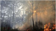 Περισσότεροι από 1.200 πυροσβέστες βρίσκονταν χθες αντιμέτωποι με δεκαέξι πυρκαγιές που μαίνονται ...