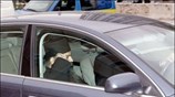 Ο ηγούμενο Εφραιμ παραμένει ηγούμενος του μοναστηριού και θα ασκεί κανονικά τα ...