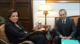Η υπουργός Εξωτερικών Ντόρα Μπακογιάννη μιλάει με τον Ρώσο εκπρόσωπο της τρόικας ...